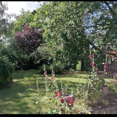 Geraeumiges 120M² Haus Mit Garten + Stellplatz Stralsund Exterior photo