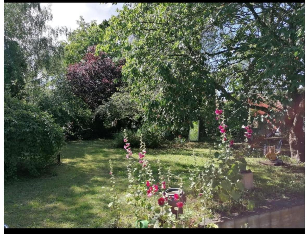 Geraeumiges 120M² Haus Mit Garten + Stellplatz Stralsund Exterior photo